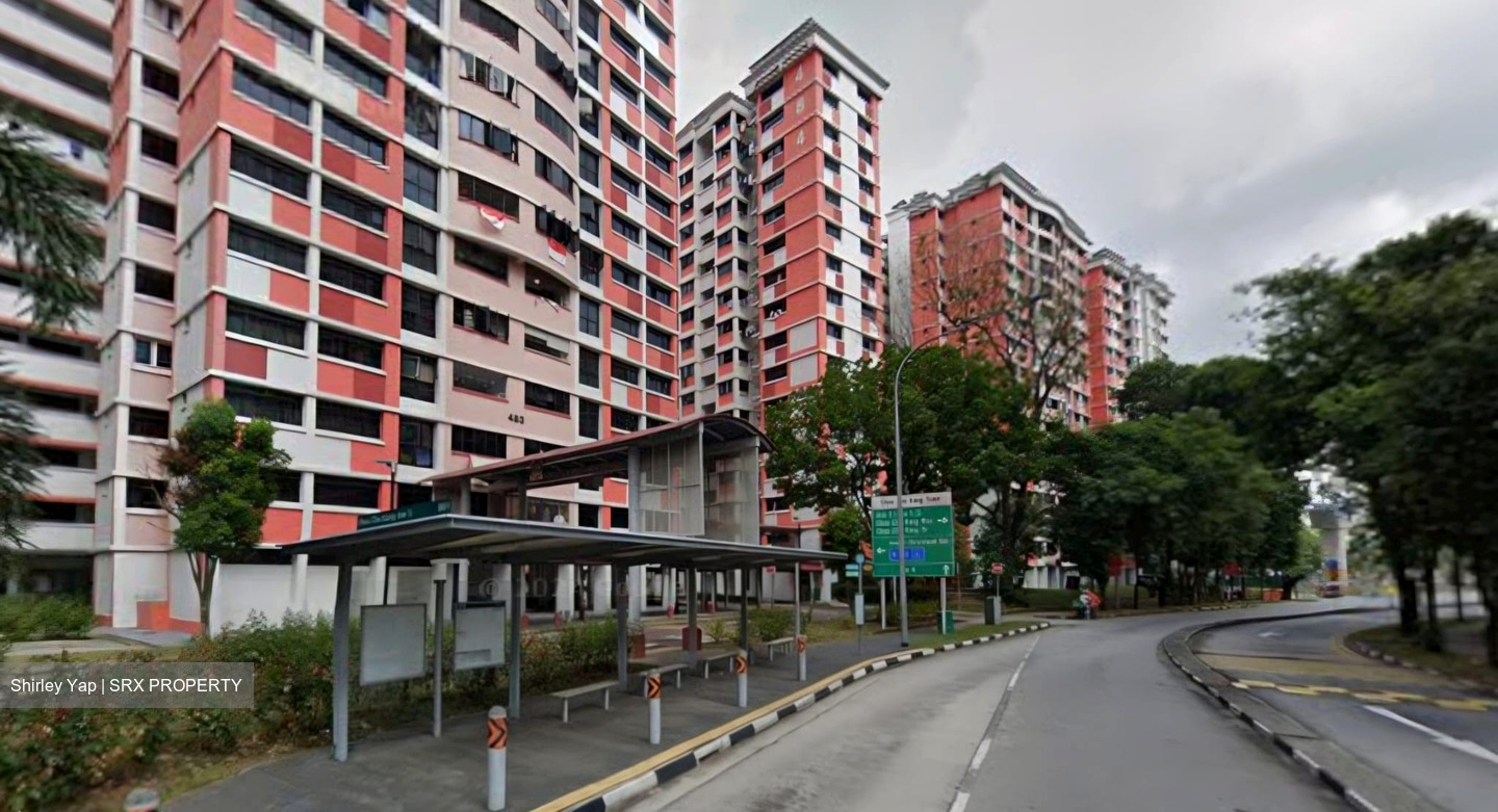 Blk 485 Choa Chu Kang Avenue 5 (Choa Chu Kang), HDB 5 Rooms #521055441